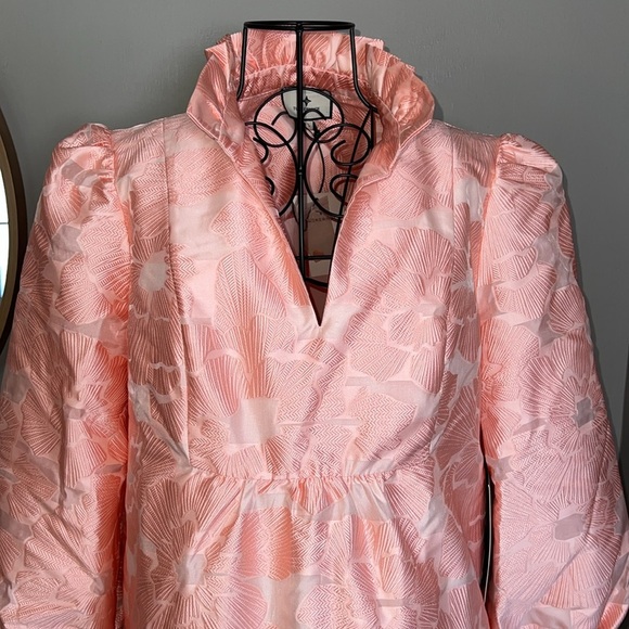 NWT Tuckernuck Bellini Fil Coupe Pink Palmerston Dress Size L - Picture 3 of 6